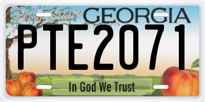 GA license plate PTE2071