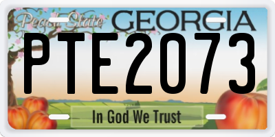 GA license plate PTE2073