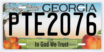 GA license plate PTE2076