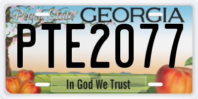 GA license plate PTE2077
