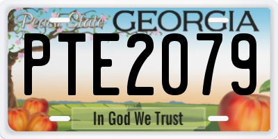 GA license plate PTE2079
