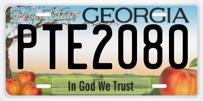 GA license plate PTE2080