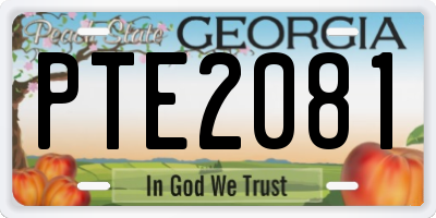 GA license plate PTE2081