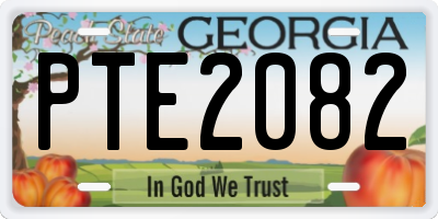 GA license plate PTE2082