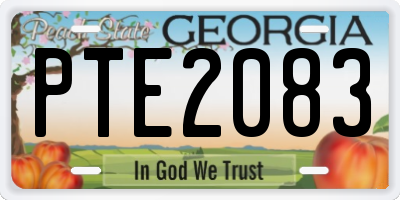 GA license plate PTE2083