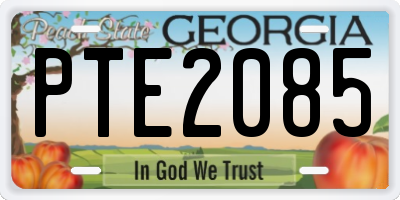 GA license plate PTE2085