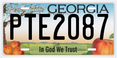 GA license plate PTE2087