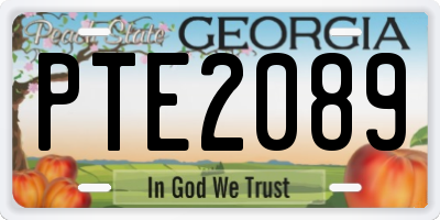 GA license plate PTE2089