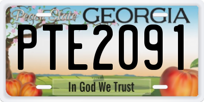 GA license plate PTE2091