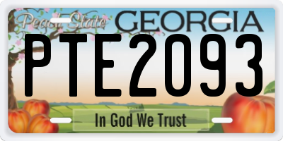 GA license plate PTE2093