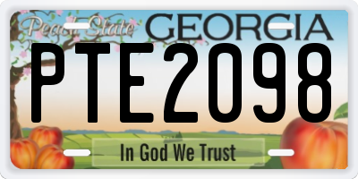 GA license plate PTE2098