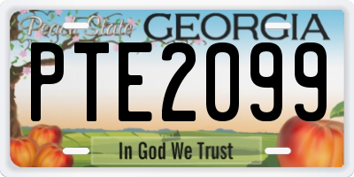 GA license plate PTE2099