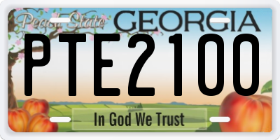 GA license plate PTE2100