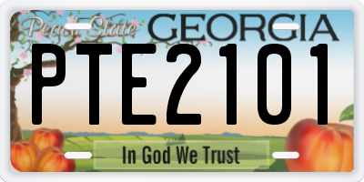 GA license plate PTE2101