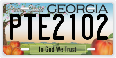 GA license plate PTE2102