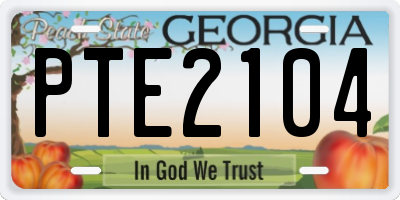 GA license plate PTE2104