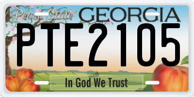 GA license plate PTE2105