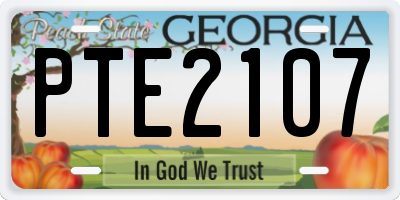 GA license plate PTE2107