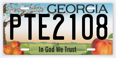 GA license plate PTE2108