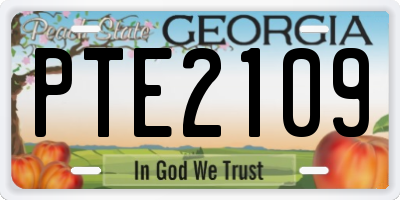 GA license plate PTE2109