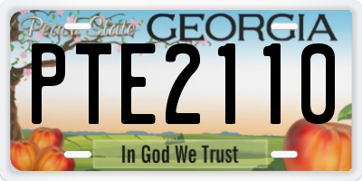 GA license plate PTE2110