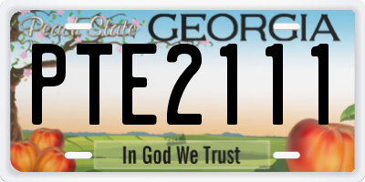 GA license plate PTE2111