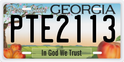 GA license plate PTE2113