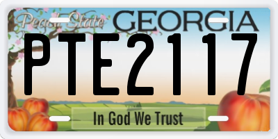 GA license plate PTE2117