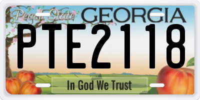 GA license plate PTE2118