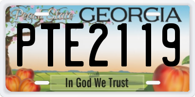 GA license plate PTE2119