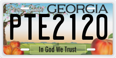 GA license plate PTE2120