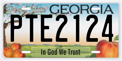 GA license plate PTE2124