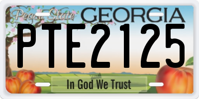 GA license plate PTE2125