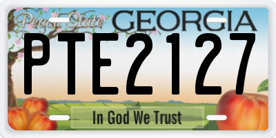 GA license plate PTE2127