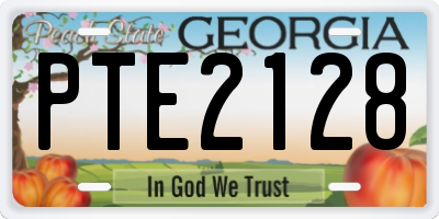GA license plate PTE2128