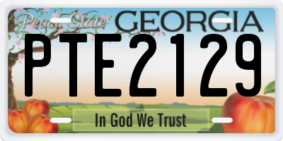 GA license plate PTE2129