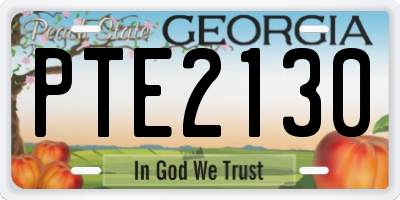GA license plate PTE2130