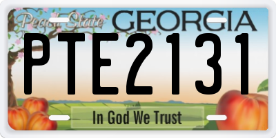 GA license plate PTE2131