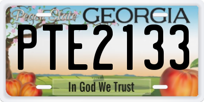 GA license plate PTE2133