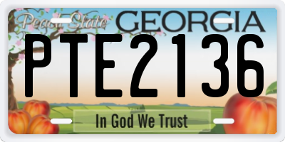 GA license plate PTE2136