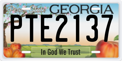 GA license plate PTE2137