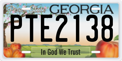 GA license plate PTE2138