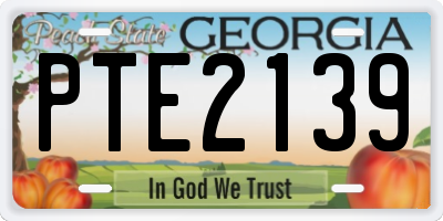 GA license plate PTE2139