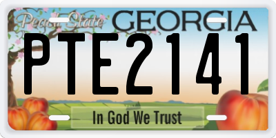 GA license plate PTE2141