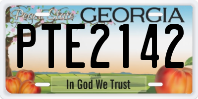 GA license plate PTE2142
