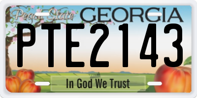 GA license plate PTE2143