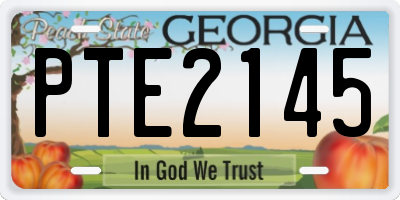 GA license plate PTE2145