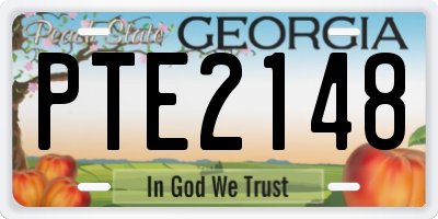 GA license plate PTE2148
