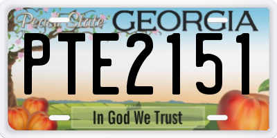 GA license plate PTE2151