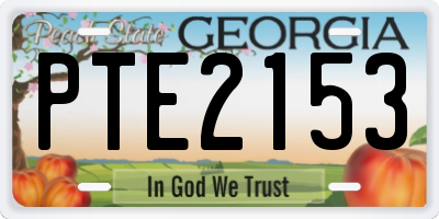 GA license plate PTE2153